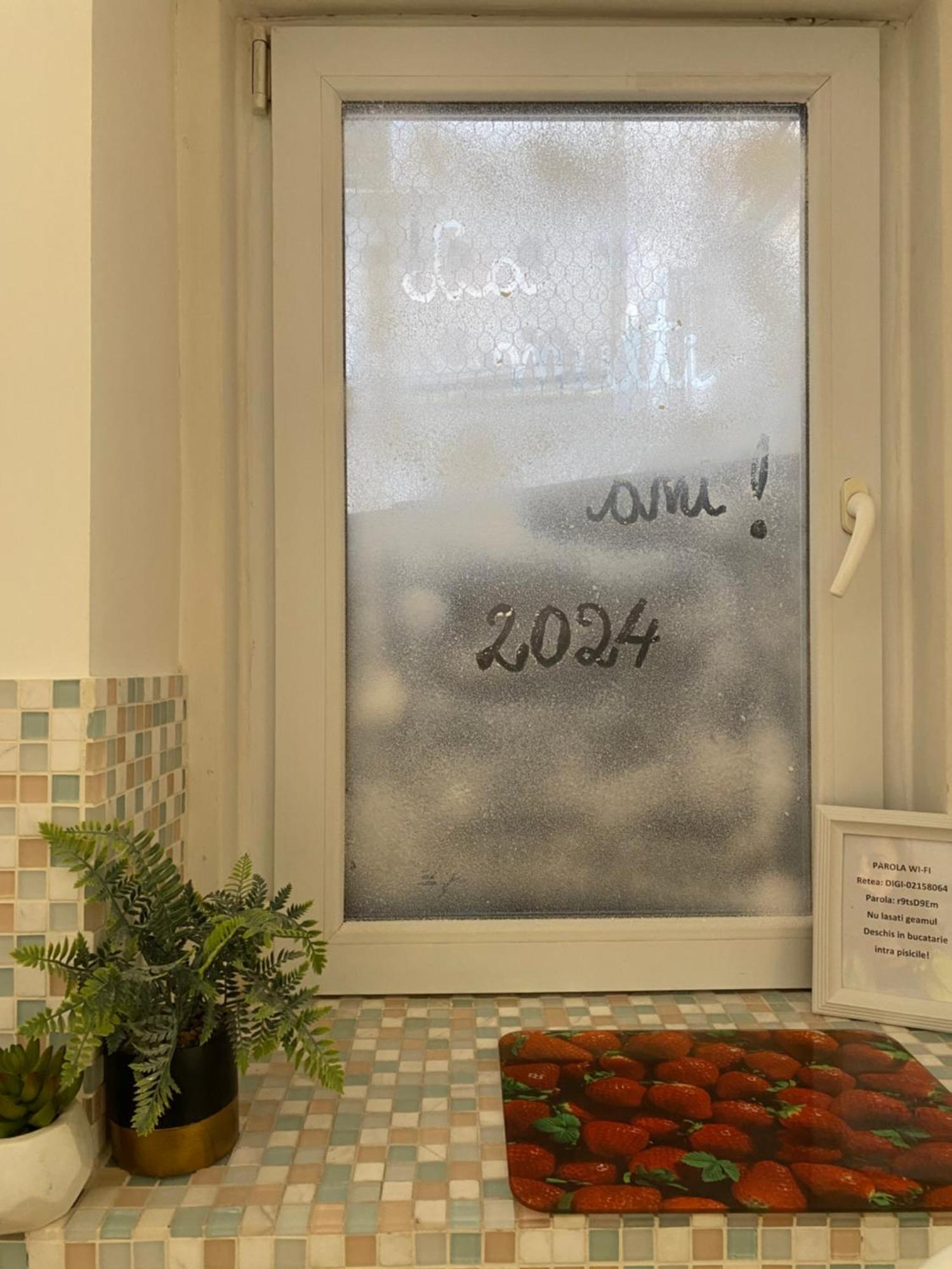 Vintage Apartament Ultracentral Craiova Luaran gambar